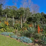 Upper Constantia Family Home