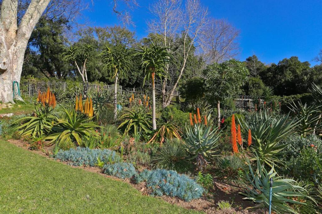 Upper Constantia Family Villa *